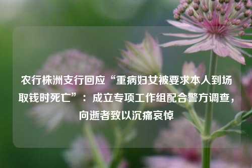 农行株洲支行回应“重病妇女被要求本人到场取钱时死亡	”：成立专项工作组配合警方调查，向逝者致以沉痛哀悼  第1张