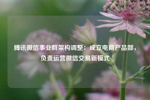 腾讯微信事业群架构调整：成立电商产品部，负责运营微信交易新模式  第1张