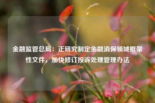 金融监管总局：正研究制定金融消保领域框架性文件，加快修订投诉处理管理办法  第1张