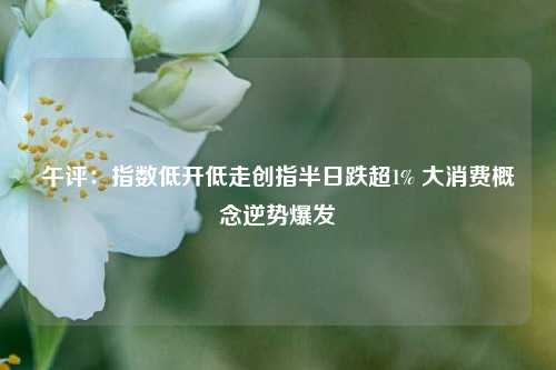午评：指数低开低走创指半日跌超1% 大消费概念逆势爆发  第1张