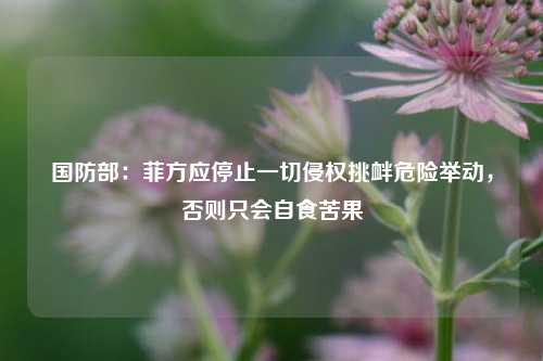 国防部：菲方应停止一切侵权挑衅危险举动，否则只会自食苦果  第1张