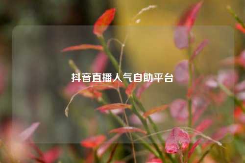 抖音直播人气自助平台  第1张