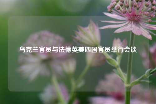 乌克兰官员与法德英美四国官员举行会谈  第1张
