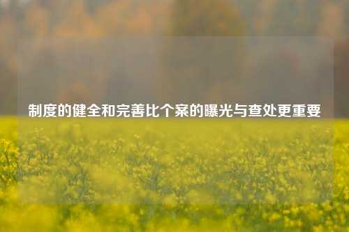 制度的健全和完善比个案的曝光与查处更重要  第1张