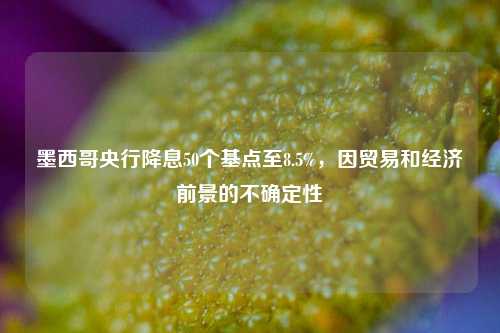 墨西哥央行降息50个基点至8.5%	，因贸易和经济前景的不确定性  第1张