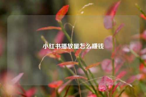 小红书播放量怎么赚钱  第1张