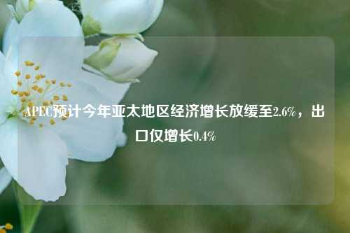 APEC预计今年亚太地区经济增长放缓至2.6%，出口仅增长0.4%  第1张