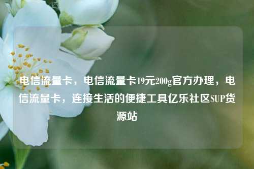 电信流量卡，电信流量卡19元200g官方办理，电信流量卡	，连接生活的便捷工具亿乐社区SUP货源站  第1张