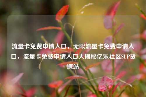 流量卡免费申请入口	，无限流量卡免费申请入口，流量卡免费申请入口大揭秘亿乐社区SUP货源站  第1张