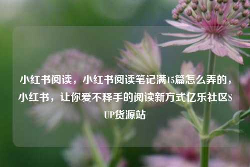 小红书阅读，小红书阅读笔记满15篇怎么弄的	，小红书，让你爱不释手的阅读新方式亿乐社区SUP货源站  第1张