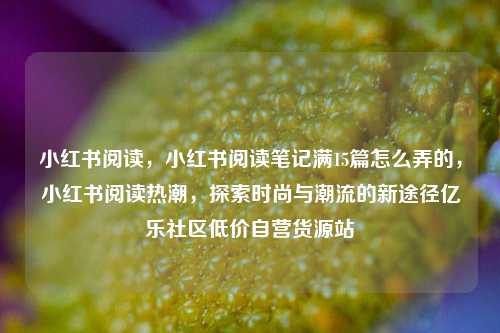 小红书阅读，小红书阅读笔记满15篇怎么弄的，小红书阅读热潮	，探索时尚与潮流的新途径亿乐社区低价自营货源站  第1张