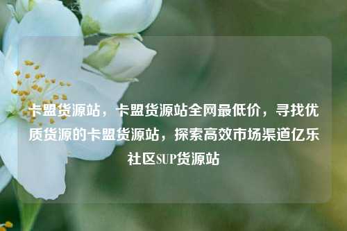 卡盟货源站	，卡盟货源站全网最低价，寻找优质货源的卡盟货源站，探索高效市场渠道亿乐社区SUP货源站  第1张