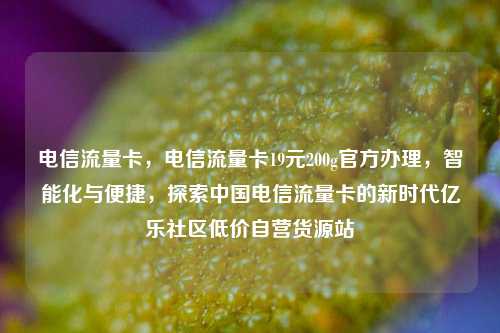 电信流量卡，电信流量卡19元200g官方办理	，智能化与便捷，探索中国电信流量卡的新时代亿乐社区低价自营货源站  第1张
