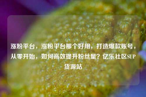 涨粉平台，涨粉平台那个好用	，打造爆款账号，从零开始，如何高效提升粉丝量？亿乐社区SUP货源站  第1张