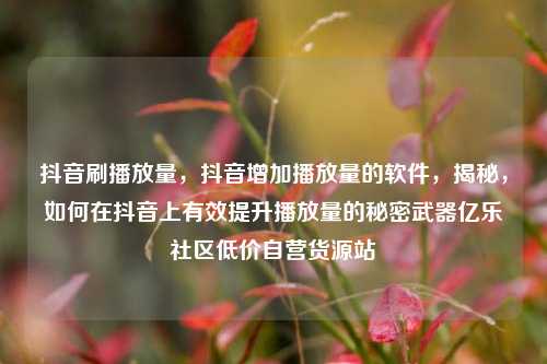 抖音刷播放量，抖音增加播放量的软件，揭秘	，如何在抖音上有效提升播放量的秘密武器亿乐社区低价自营货源站  第1张