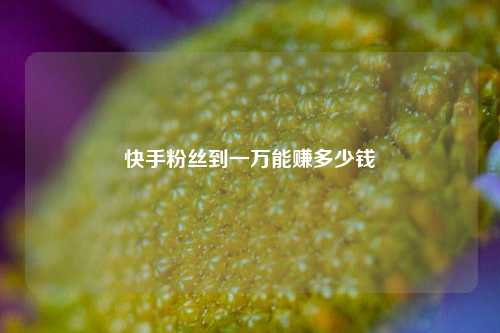 快手粉丝到一万能赚多少钱  第1张