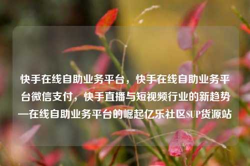 快手在线自助业务平台	，快手在线自助业务平台微信支付，快手直播与短视频行业的新趋势—在线自助业务平台的崛起亿乐社区SUP货源站  第1张