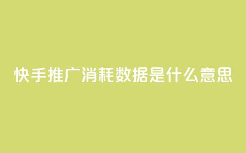 快手推广消耗数据是什么意思,ks直播业务平台怎么下 - qq24小时自助下单商城 口碑最好的美容仪  第1张 快手推广消耗数据是什么意思,ks直播业务平台怎么下 - qq24小时自助下单商城 口碑最好的美容仪  第1张