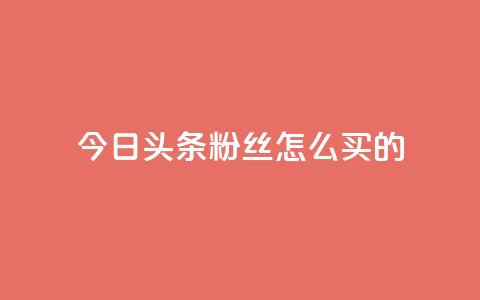 今日头条粉丝怎么买的 - vip影视会员一手货源批发 第1张 今日头条粉丝怎么买的 - vip影视会员一手货源批发 第1张