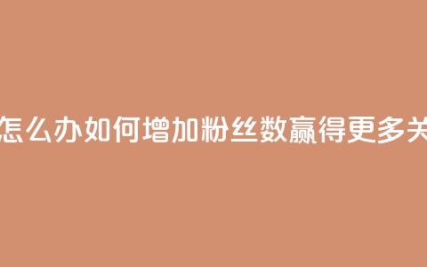 粉丝太少怎么办 - 如何增加粉丝数?赢得更多关注!  第1张 粉丝太少怎么办 - 如何增加粉丝数?赢得更多关注!  第1张