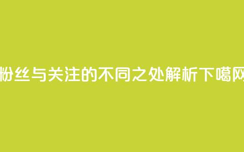 粉丝与关注的不同之处解析  第1张 粉丝与关注的不同之处解析  第1张