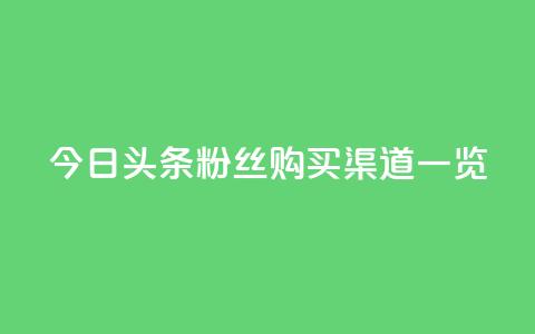 今日头条粉丝购买渠道一览  第1张