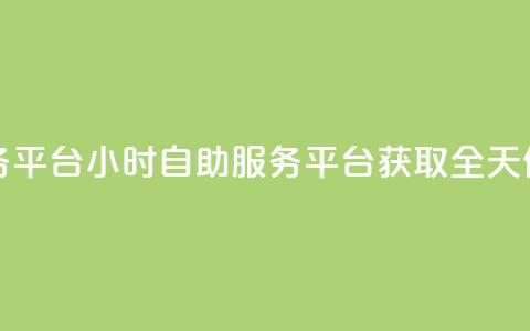 dy24小时自助服务平台(24小时自助服务平台：获取全天候服务)  第1张