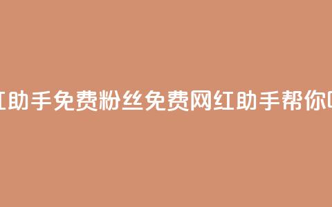 网红助手免费粉丝(免费网红助手帮你吸粉)  第1张