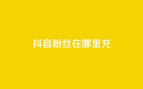 抖音粉丝在哪里充 - 如何在抖音平台给粉丝充值的详细指南!  第1张 抖音粉丝在哪里充 - 如何在抖音平台给粉丝充值的详细指南!  第1张
