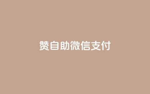 Ks赞自助微信支付,快手免费刷欢击软件 - 小红书24自助平台 粉丝交易平台哪里有  第1张
