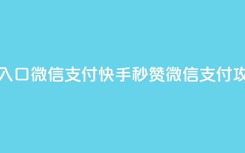 快手秒赞入口微信支付(快手秒赞微信支付攻略)  第1张