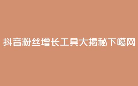 抖音粉丝增长工具大揭秘  第1张 抖音粉丝增长工具大揭秘  第1张