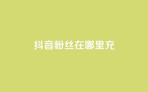抖音粉丝在哪里充 - 如何在抖音平台给粉丝充值的详细指南!  第1张 抖音粉丝在哪里充 - 如何在抖音平台给粉丝充值的详细指南!  第1张