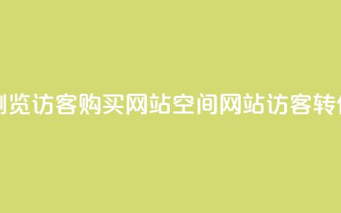 QQ空间浏览访客购买网站(QQ空间网站访客转化工具) 第1张 QQ空间浏览访客购买网站(QQ空间网站访客转化工具) 第1张