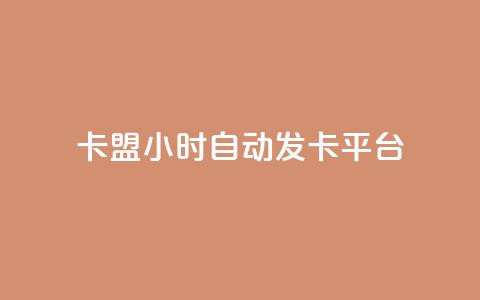 卡盟24小时自动发卡平台 - 24小时自动发卡平台-卡盟快速发卡!  第1张
