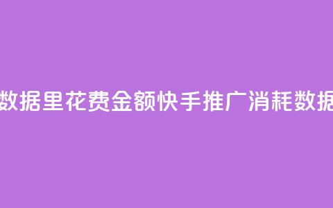 快手推广消耗数据里花费金额(快手推广消耗数据:花费金额分析)  第1张 快手推广消耗数据里花费金额(快手推广消耗数据:花费金额分析)  第1张