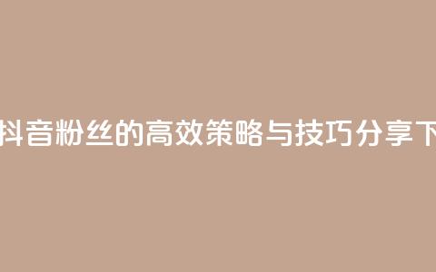 提升抖音粉丝的高效策略与技巧分享  第1张 提升抖音粉丝的高效策略与技巧分享  第1张