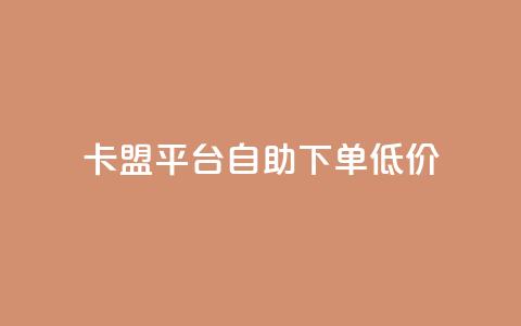 卡盟平台自助下单低价 - 自助下单低价卡盟平台助你轻松购卡!  第1张 卡盟平台自助下单低价 - 自助下单低价卡盟平台助你轻松购卡!  第1张
