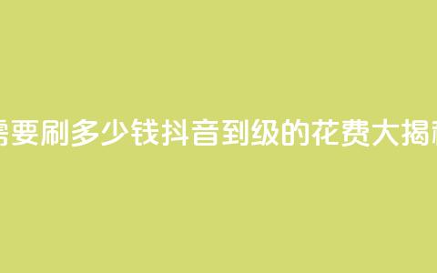 抖音1-60级需要刷多少钱 - 抖音1到60级的花费大揭秘~  第1张 抖音1-60级需要刷多少钱 - 抖音1到60级的花费大揭秘~  第1张