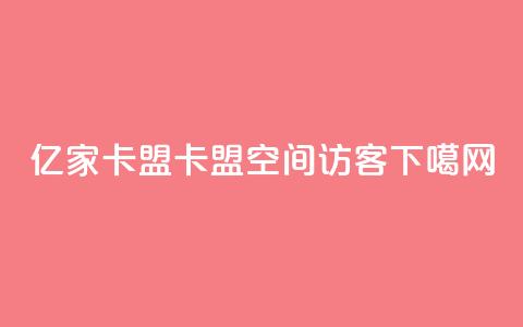 亿家卡盟 - 卡盟qq空间访客  第1张