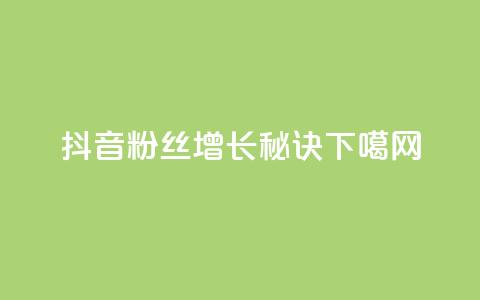 抖音粉丝增长秘诀  第1张 抖音粉丝增长秘诀  第1张