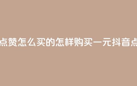 一元抖音点赞怎么买的(怎样购买一元抖音点赞)  第1张