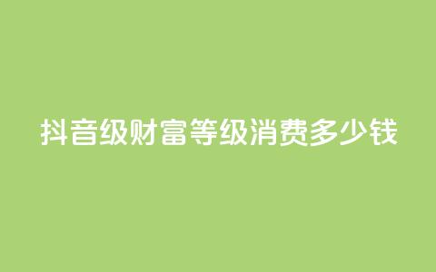 抖音24级财富等级消费多少钱 - 抖音财富等级24级消费金额是多少?!  第1张 抖音24级财富等级消费多少钱 - 抖音财富等级24级消费金额是多少?!  第1张