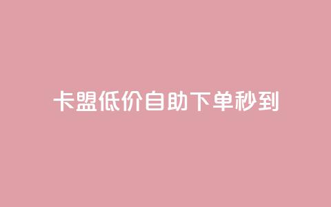 卡盟低价自助下单秒到 - 极速到账！卡盟低价自主下单等您来！~  第1张