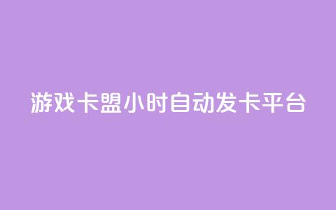 游戏卡盟24小时自动发卡平台 - 24小时自动发卡，游戏卡盟平台全新升级！  第1张