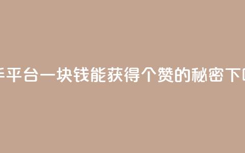 快手平台一块钱能获得100个赞的秘密  第1张 快手平台一块钱能获得100个赞的秘密  第1张