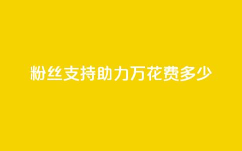 粉丝支持助力 100万	，花费多少？  第1张