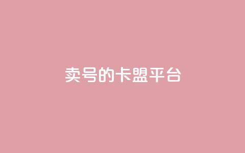 卖QQ号的卡盟平台  第1张 卖QQ号的卡盟平台  第1张