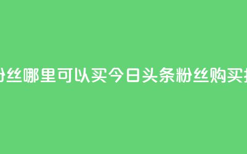 今日头条粉丝哪里可以买 - 今日头条粉丝购买指南!  第1张 今日头条粉丝哪里可以买 - 今日头条粉丝购买指南!  第1张