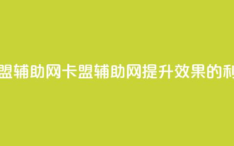 卡盟辅助网(卡盟辅助网:提升SEO效果的利器)  第1张 卡盟辅助网(卡盟辅助网:提升SEO效果的利器)  第1张